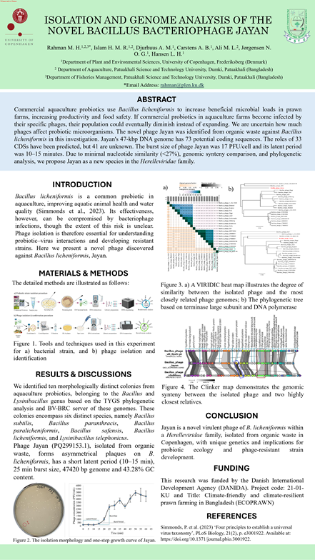 poster