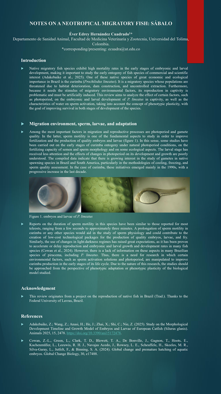 poster